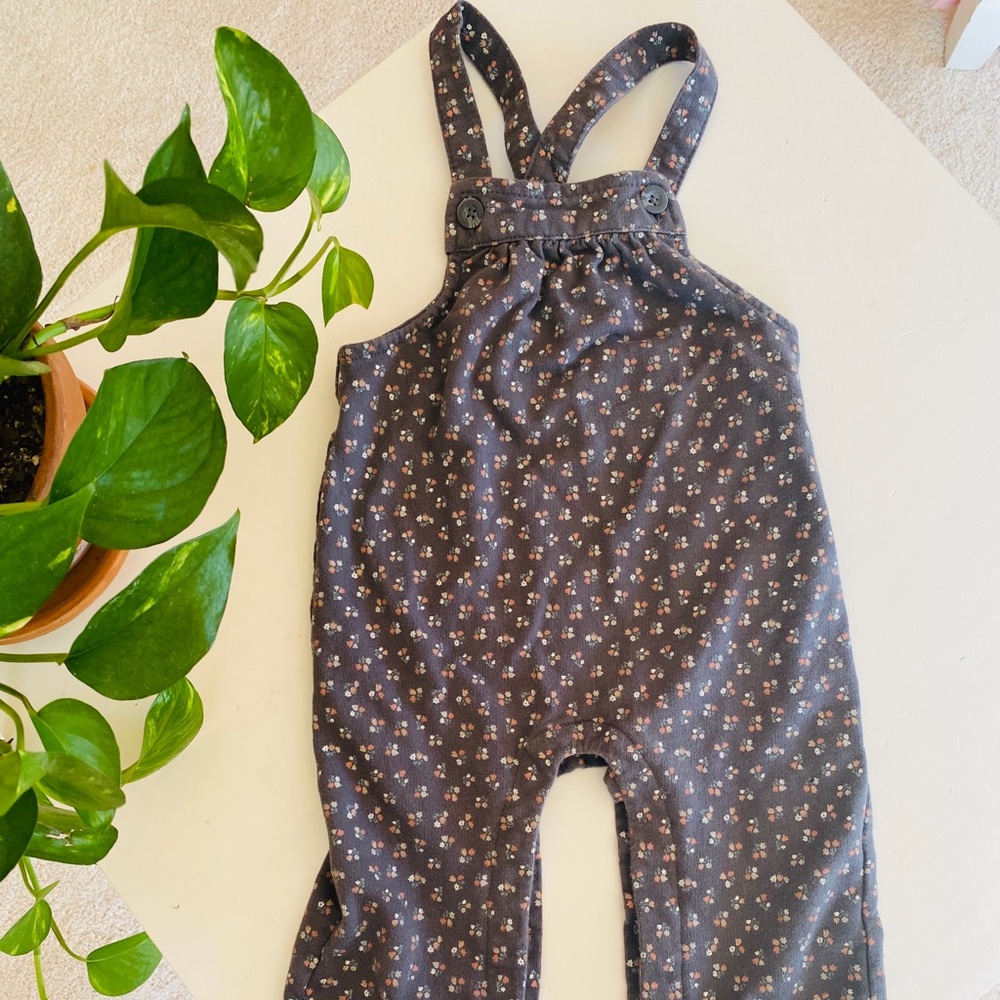 Overalls!!! Carters size 18 months